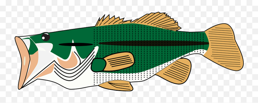 Bass Fish With Mouth Open Clipart Free Download Transparent - Fish Png,Bass Fish Icon