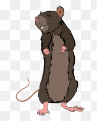 Frederick Andersons Story Blog - Rat Clipart png