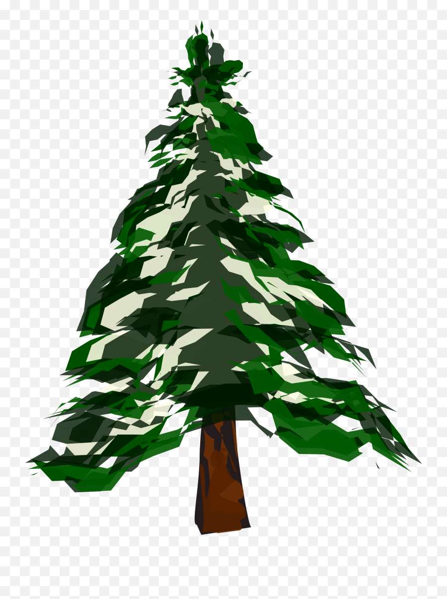 Pine Tree Png Snow Picture - Deciduous Vs Coniferous Trees,Snowy Trees Png