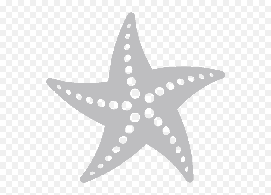Photo Gallery - Neptune Memorial Cremation Reef Starfish Vector Png,Reef Icon