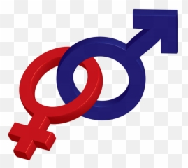 Male And Female Symbol Transparent U2013 Big Pulpit - Sex Is Good For Brain png