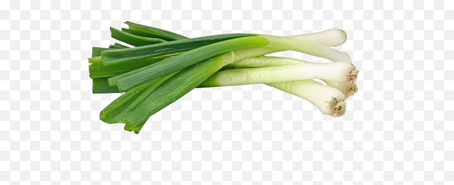 Spring Onions Baro - Spring Onion Transparent Background Png,Onion Png