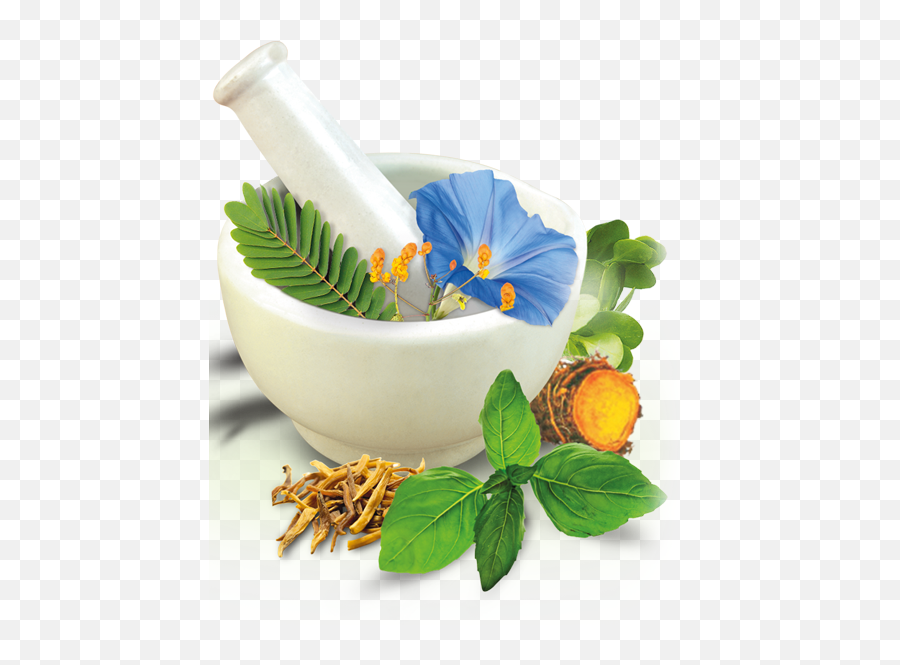 Herbal product. Аюрведа на белом фоне. Herbal products. Фитотерапия иконка. Аюрведа картинки.