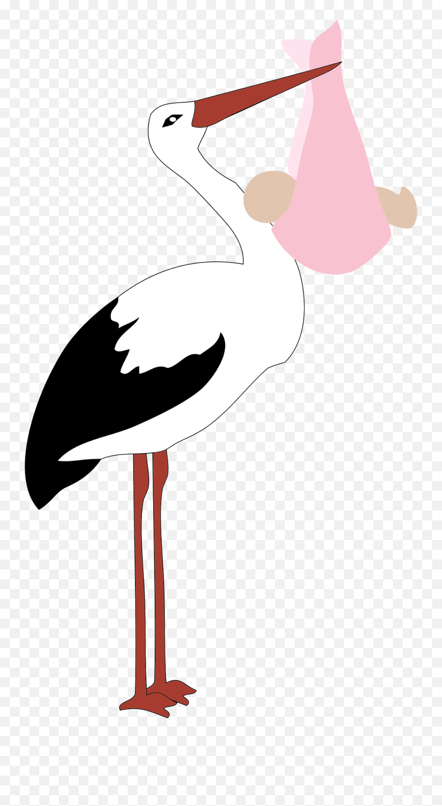 Baby Girl Png Stork - Baby Girl Stork Transparent Background,Baby Chicks Png
