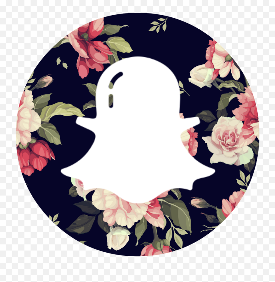 Social Media Icon Set U2014 Ladies Of Real Estate - Sac À Dos Fleurs Fille Png,Snapchat Icon Aesthetic Blue