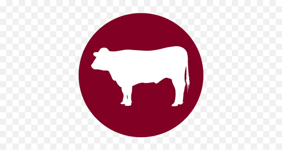 Beef Experts - Diamond V Animal Figure Png,Walter White Icon