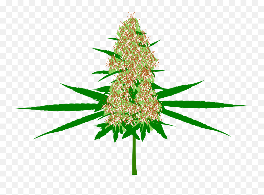 Weed Leaf Transparent Background - Weed Bud Png Cartoon,Weed Transparent Background