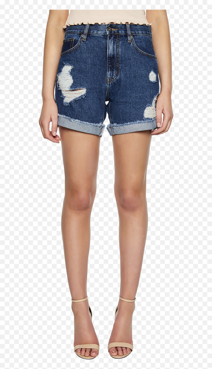 Tyra Distressed Denim Short In Vintage Png Icon Shorts