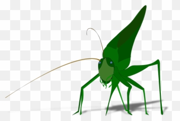 Bug Insect Grasshopper - Grasshopper Clipart Gif Png,Grasshopper Png