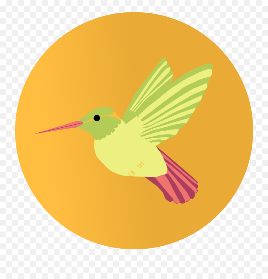 Hummingbird - Finished U2014 Weasyl Rufous Hummingbird Png,Hummingbird Transparent