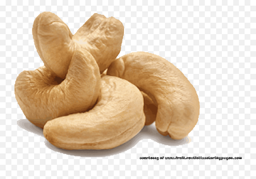 Nut Clipart Cashew - Cashew Clipart Png,Cashew Png