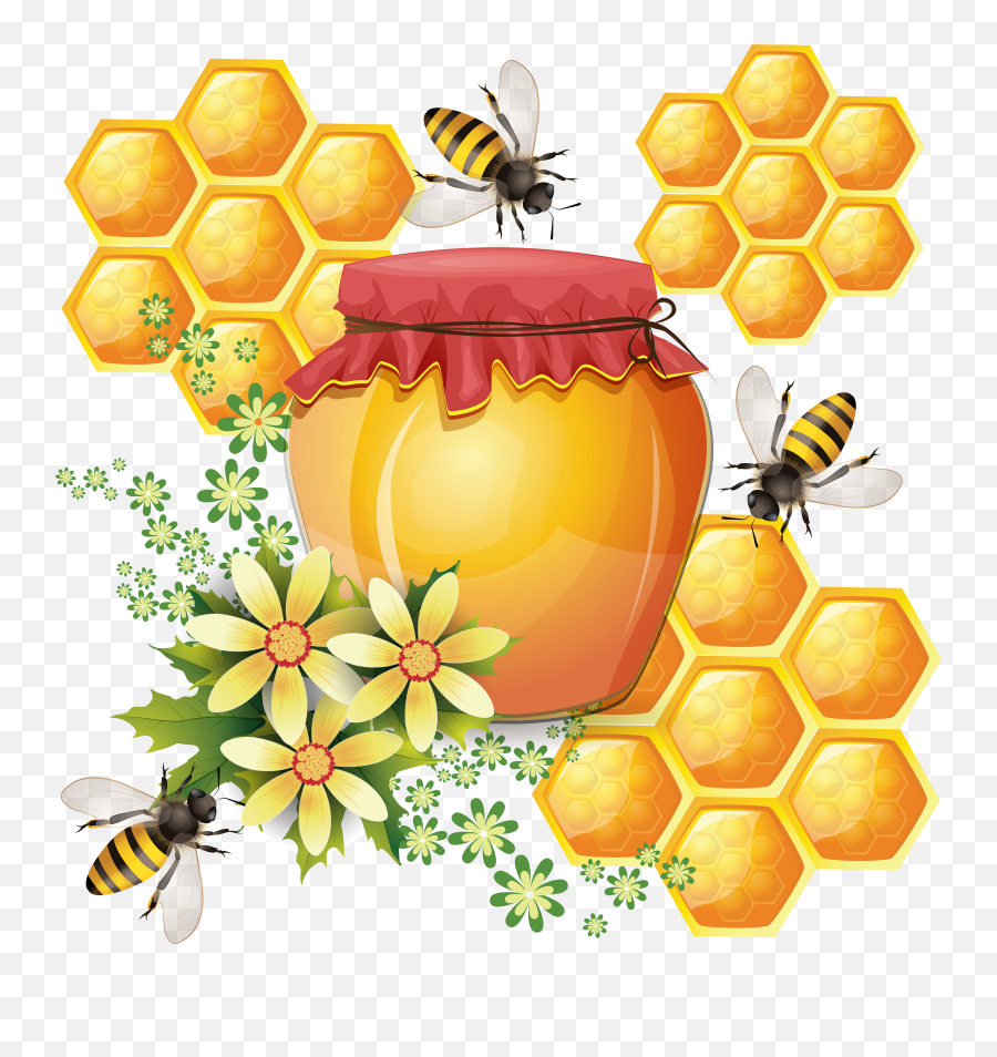 Honey Png - Honeycomb Bee,Beehive Png