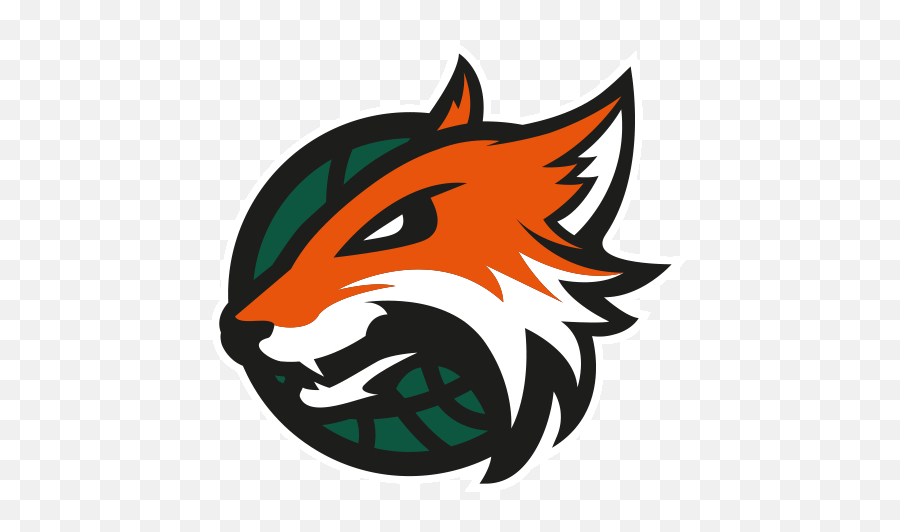 The Plymouth Raiders - Official Website Plymouth Raiders Logo Png,Raiders Logo Png