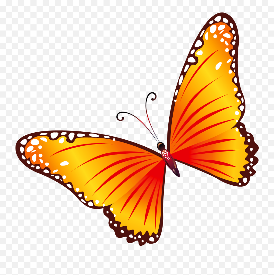 Butterfly Clip Art - Butterfly Clipart Png,Butterfly Png Clipart