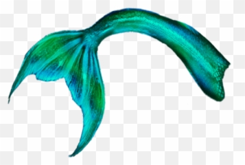 Mermaid Tail Transparent Background - Png