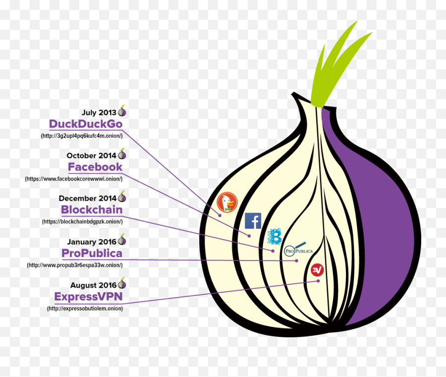 Expressvpn Launches Tor Onion Service Expressobutiolemonion - Tor Png,Onion Transparent Background