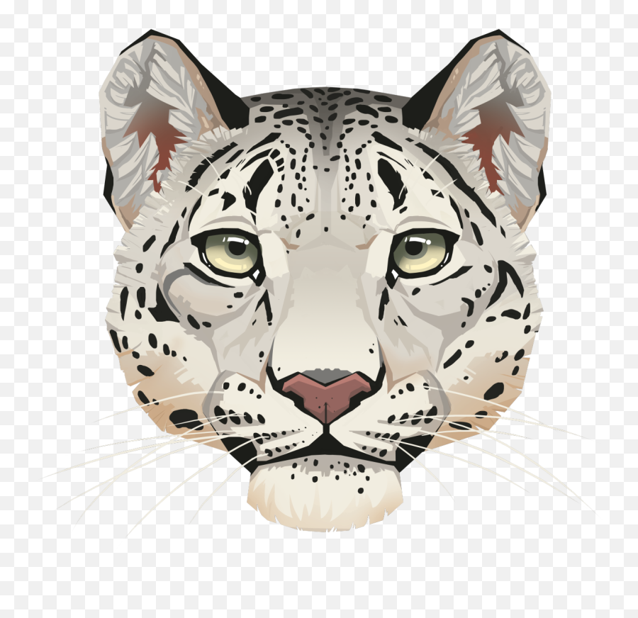 Png Transparent Leopard Face - Cartoon Snow Leopard Face,Snow Leopard Png