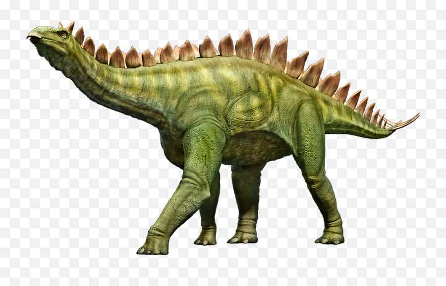 Stegosaurus Dinosaur Stego - Free Image On Pixabay Spinosaurus Dinosaur With Spikes On Back Png,Dino Png