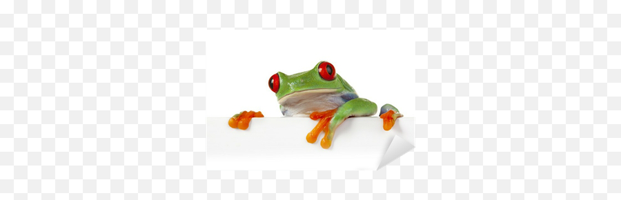 Crazy Frog Sticker U2022 Pixers - We Live To Change Green Frog Png,Crazy Frog Png