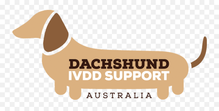 Home Disa Dachshund Ivdd Support Australia - Companion Dog Png,Dachshund Png