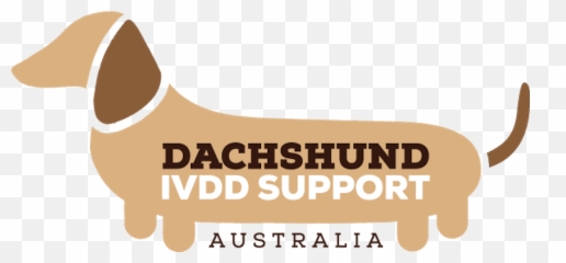 Home Disa Dachshund Ivdd Support Australia - Companion Dog Png,Dachshund Png