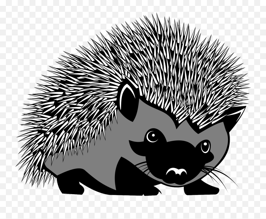 Hedgehog Png Transparent Image - Porcupine Cartoon Png,Hedgehog Png