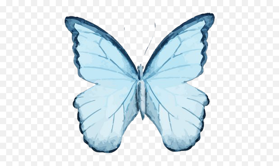 Butterfly Watercolor Painting Drawing - Transparent Butterfly Watercolor Png,Watercolor Butterfly Png