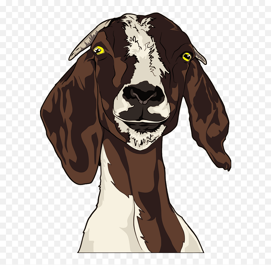 Goat Face Clipart Free Download Transparent Png Creazilla - Goat Head Clip Art,Cartoon Face Png