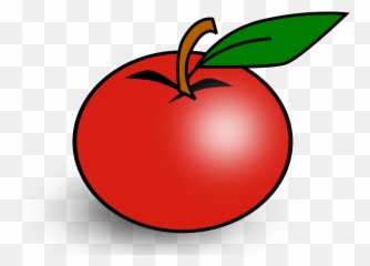 Seedless Fruit Tomato Plant Png Clipart - Tomate