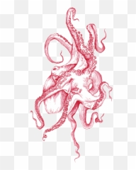 Octopus Transparent Shared - Octopus Png,Octopus Transparent