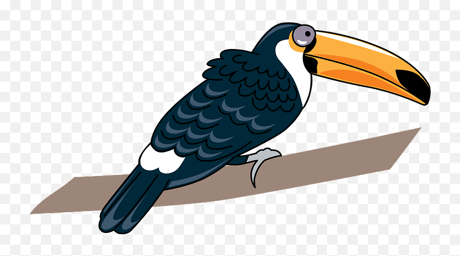 Toucan Clipart - Long Png,Toucan Png