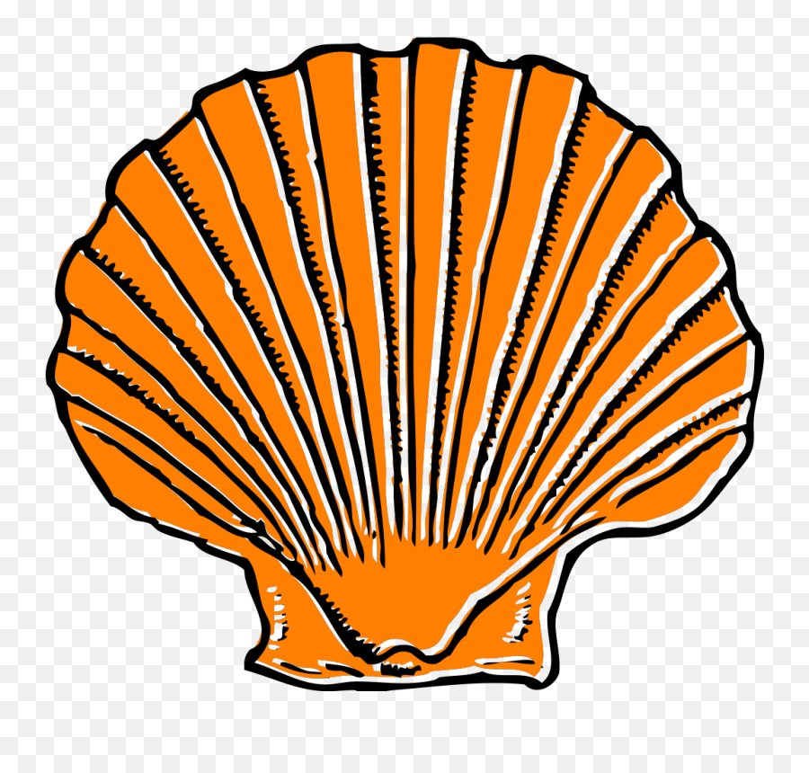 Orange Seashell Svg Clip Arts Download - Download Clip Art Sea Shell Clip Art Png,Seashell Clipart Png