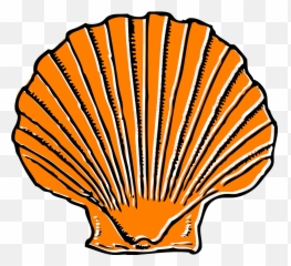 Orange Seashell Svg Clip Arts Download - Download Clip Art Sea Shell Clip Art Png,Seashell Clipart Png