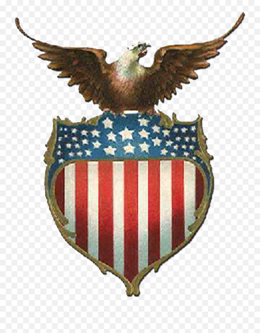 Eagle - Eagle And Shield,American Flag Eagle Png