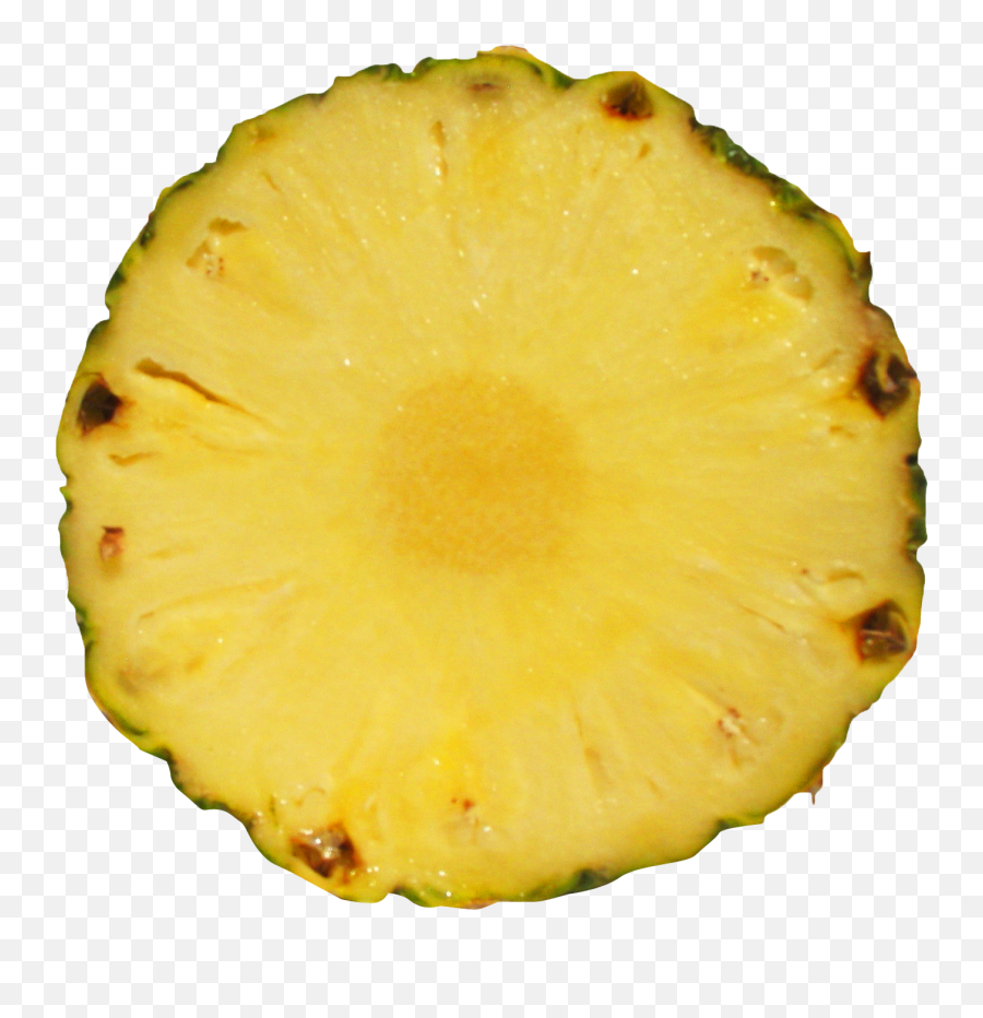 Pineapple Slice Png Image - Pineapple Slice Png,Pineapple Transparent