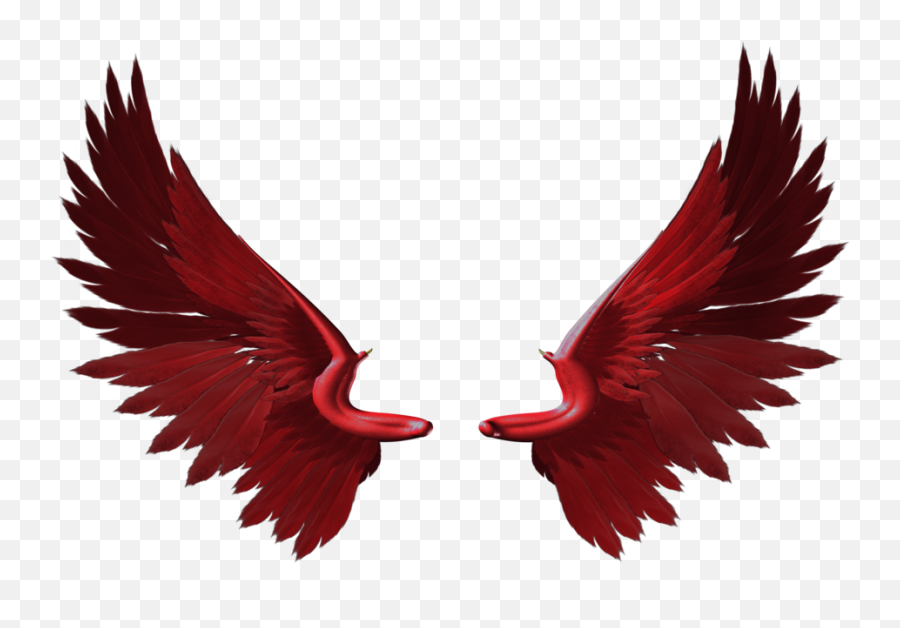 Pretty Wings - Transparent Red Wings Png,Wings Png