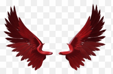 Pretty Wings - Transparent Red Png