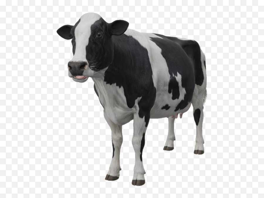 Google 3d Animals U0026 Ar Objects Full List Gallery - Google 3d Animals  Cow Png,3d Google Icon - free transparent png images 
