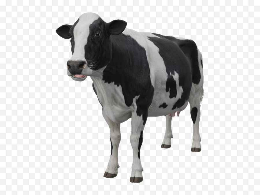 Google 3d Animals U0026 Ar Objects Full List Gallery - Google 3d Animals Cow Png,3d Google Icon