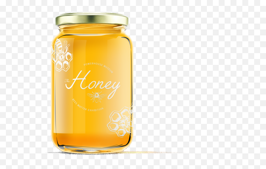 The Honey Bee Exhibition Design Png Jar