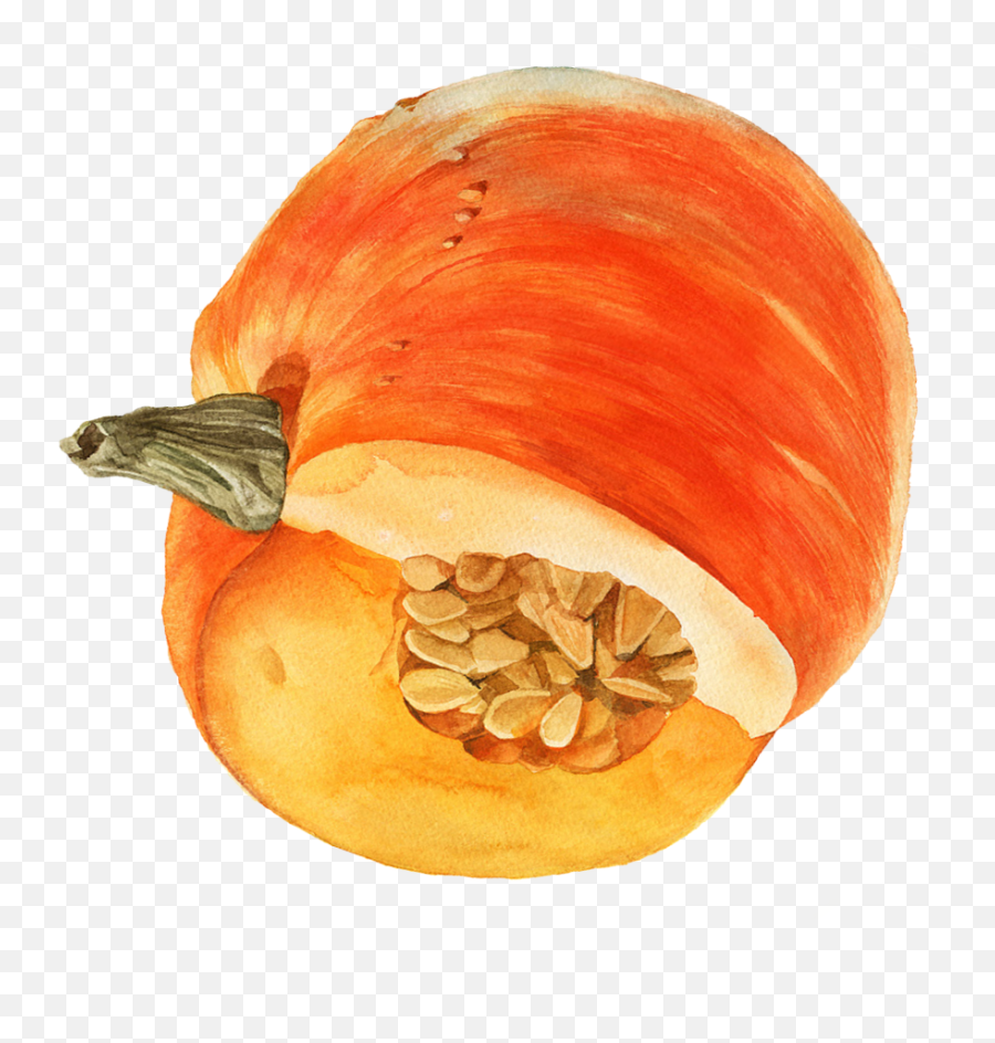 Watercolor Pumpkin Png - Pumpkin,Pumpkin Png Transparent