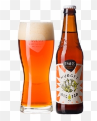 Free Vegetables And Fruits Nutritional Therapeutic Values - Nugget Nectar Troegs Beer png