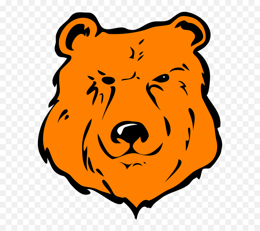 Orange Bear Animal - Free Vector Graphic On Pixabay Mountain View Elementary School Hyden Ky Png,Bear Head Png