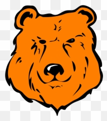 Orange Bear Animal - Free Vector Graphic On Pixabay Mountain View Elementary School Hyden Ky Png,Bear Head Png