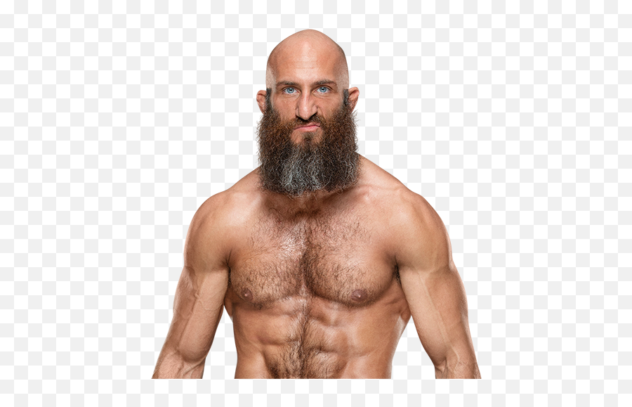 Tommaso Ciampa - Thesportsdbcom Nxt Tommaso Ciampa Body Png,Johnny Gargano Png