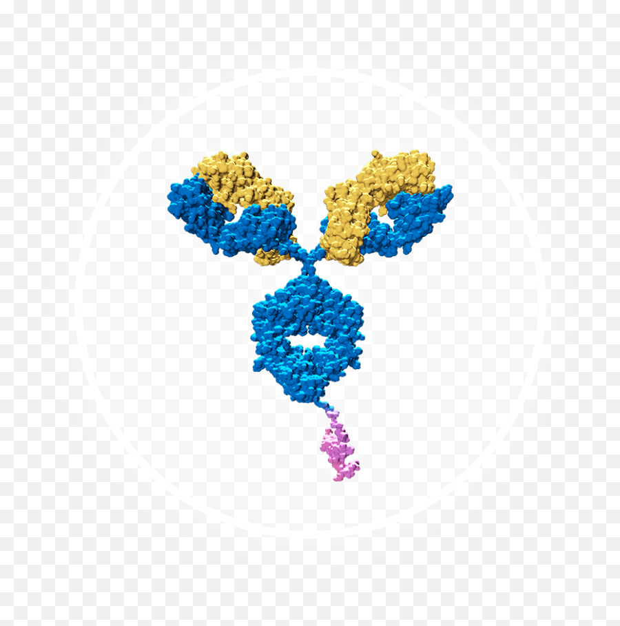 Amgen Oncology Pipeline Png Extra Large Icon