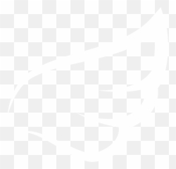 About - Dr Grillz png