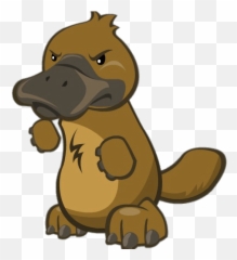 Platypus Wild Ones Transparent Png - Platypus Wild Ones,Platypus Png