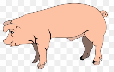 Download Image Of Pig 7 Vector Png Clipart Free - Transparent Background