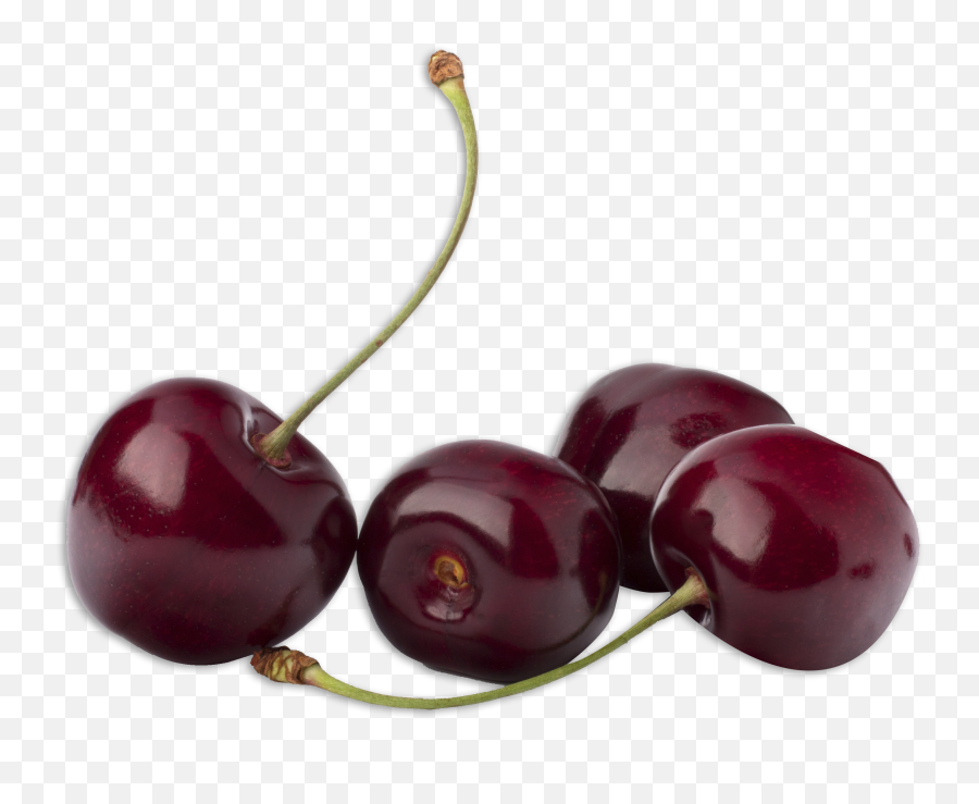 Cherries Png - Sweet Black Cherry Frozen,Cherries Png
